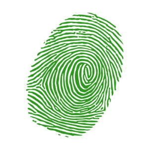 Marca personal unica